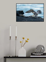 Chase Poster och Canvastavla