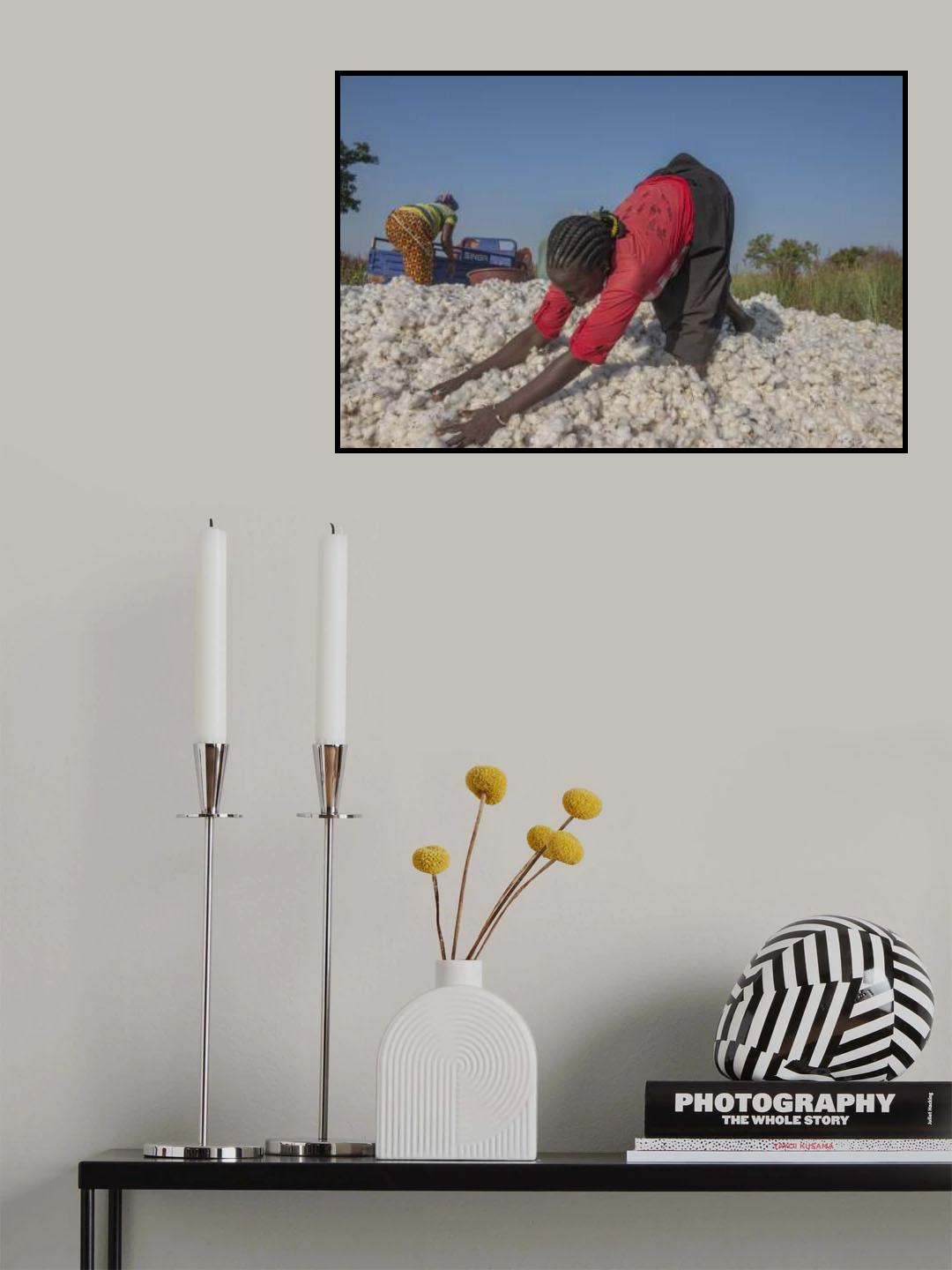 White Gold Poster och Canvastavla