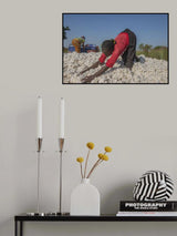 White Gold Poster och Canvastavla