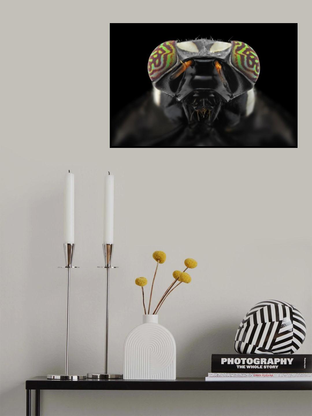 The Darth Vader Poster och Canvastavla