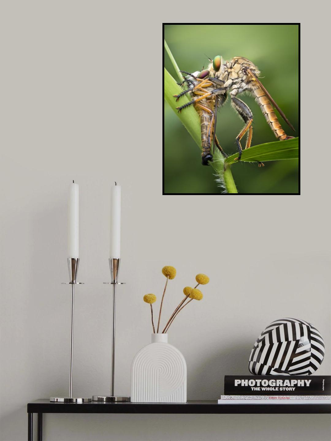 Predators On Close Encounter Poster och Canvastavla