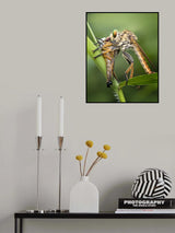 Predators On Close Encounter Poster och Canvastavla