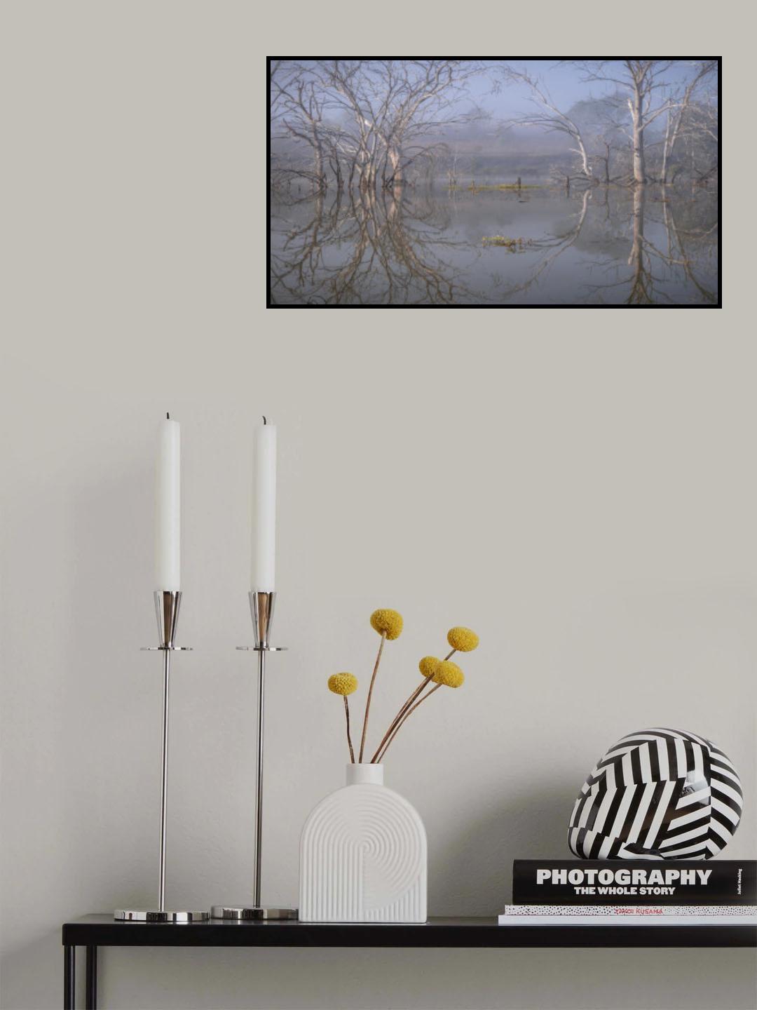 Morning reflections Poster och Canvastavla