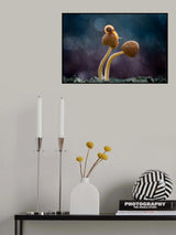 my way Poster och Canvastavla