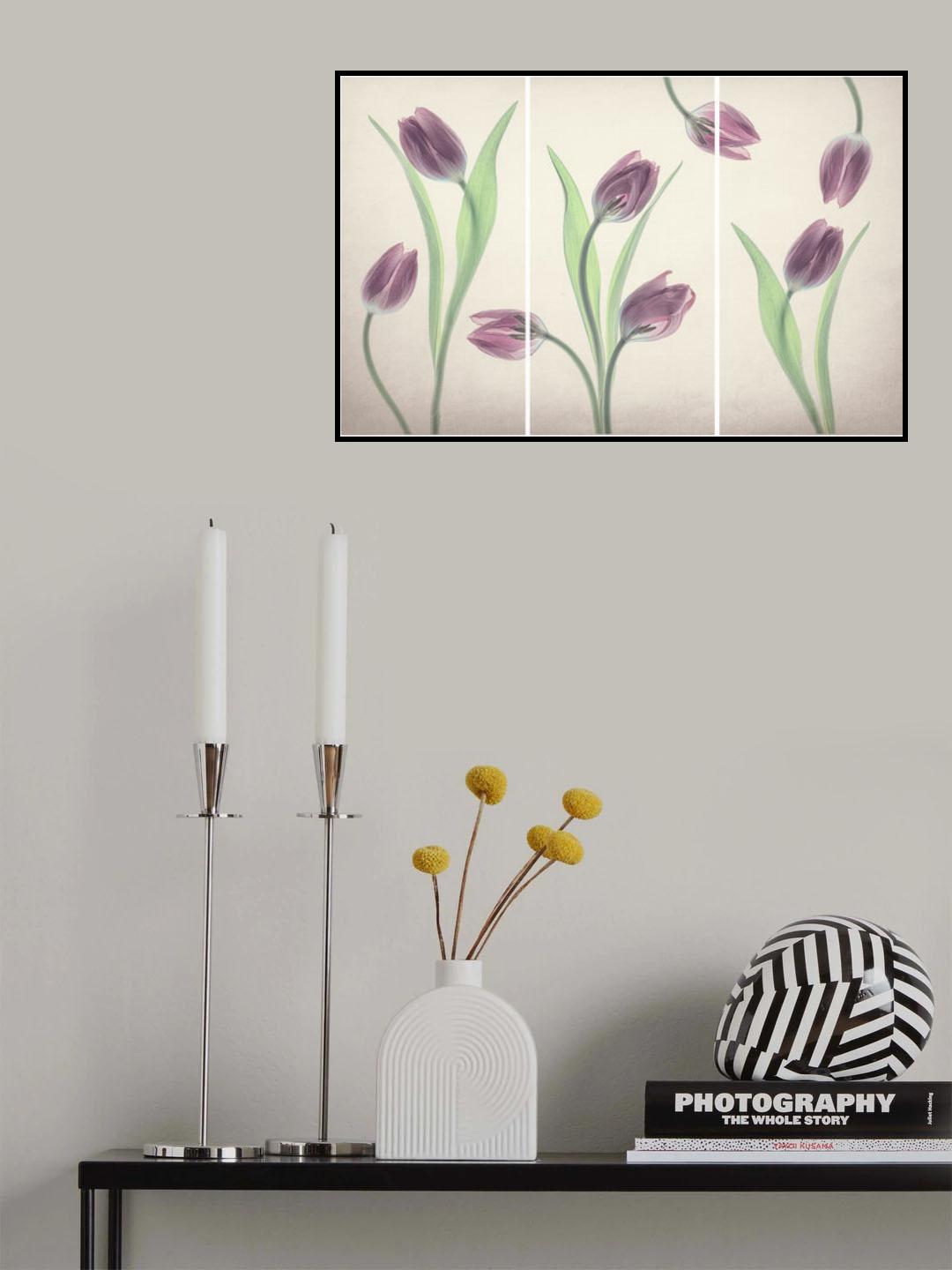 Dancing Tulips Poster och Canvastavla