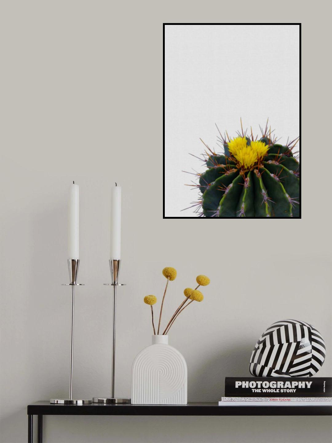 Flower Cactus Poster och Canvastavla