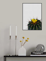 Flower Cactus Poster och Canvastavla