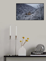 Hagartsin in silver Poster och Canvastavla