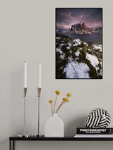Reine Poster och Canvastavla