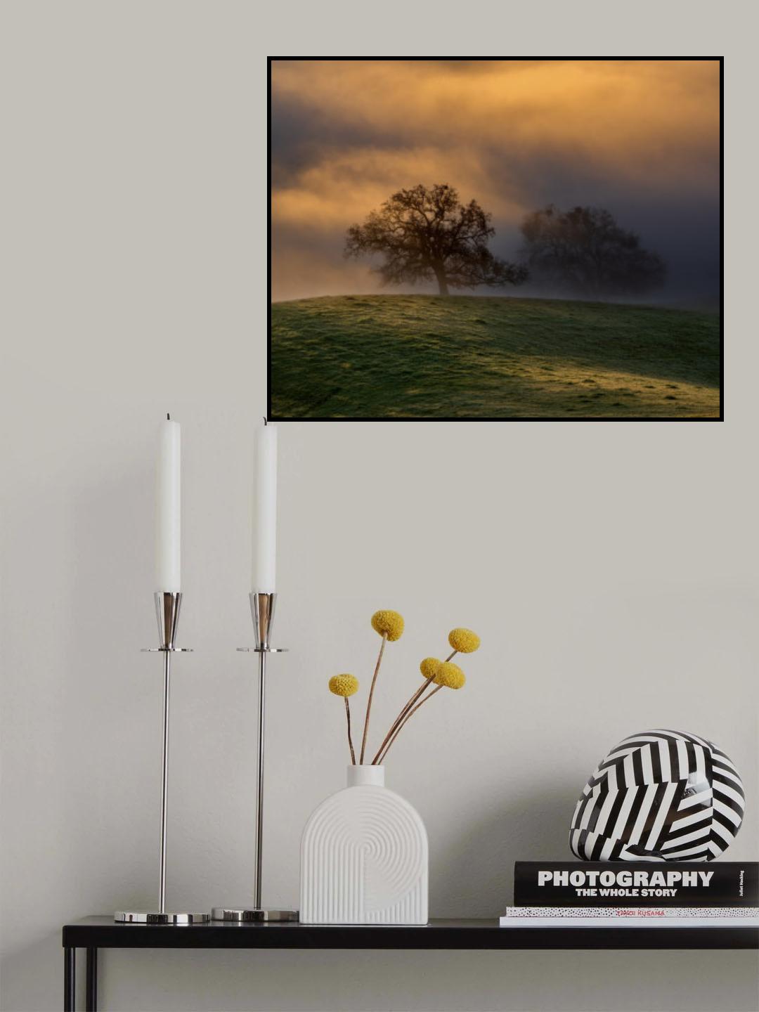 Shiny Trees Poster och Canvastavla