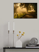 Morning walk Poster och Canvastavla