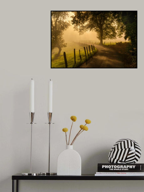 Morning walk Poster och Canvastavla