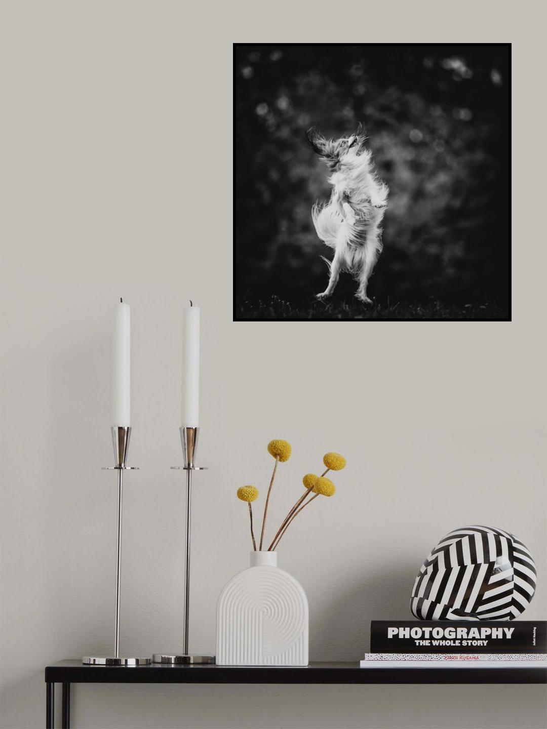 ...joyfulness... Poster och Canvastavla