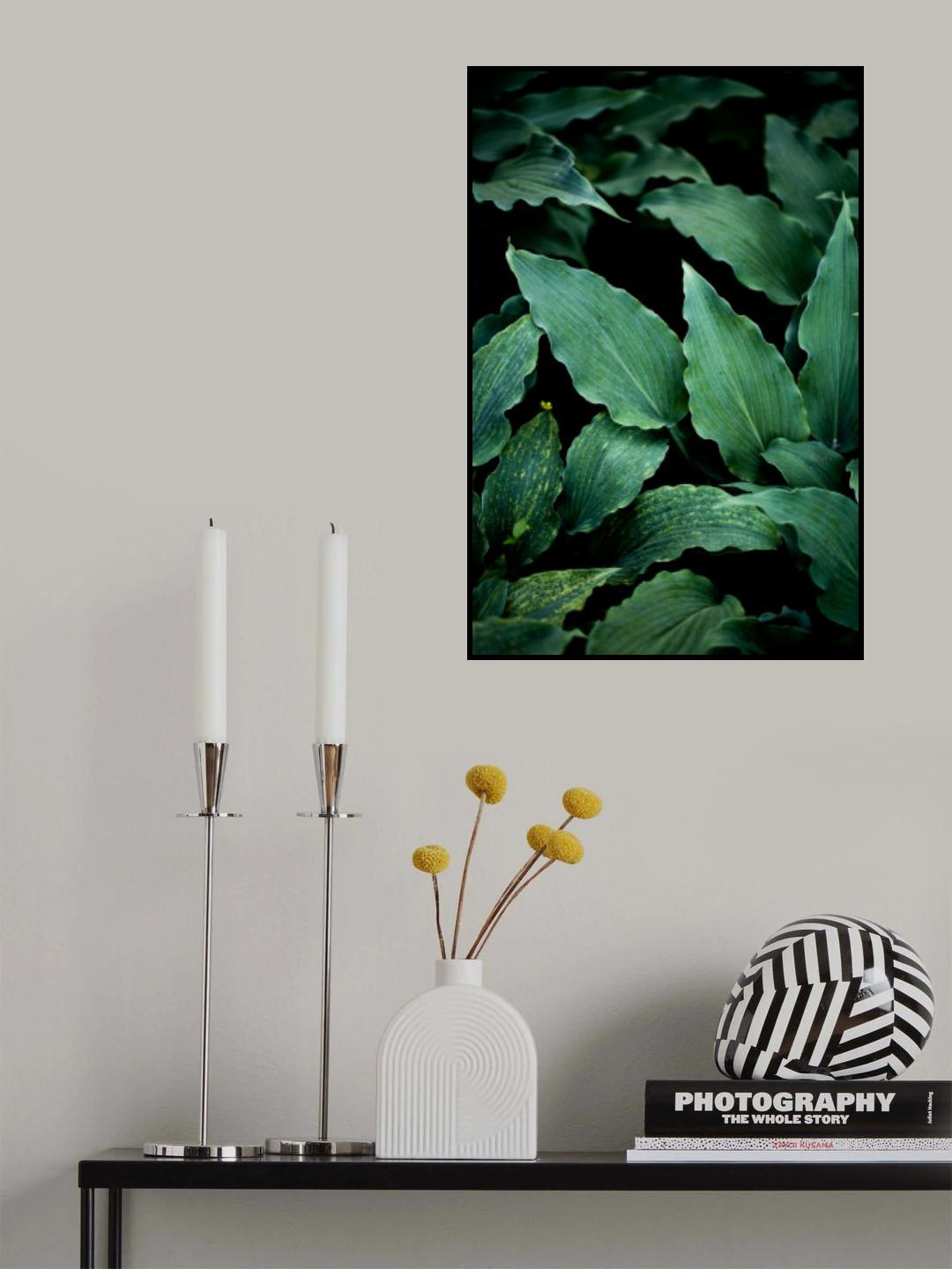 Dark Leaves 15 Poster och Canvastavla