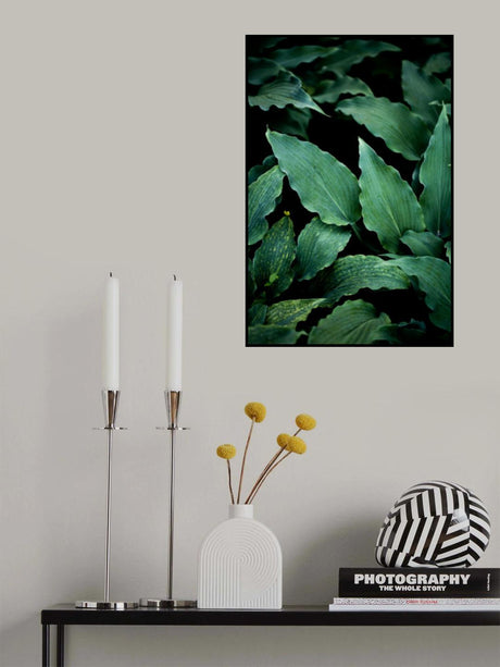 Dark Leaves 15 Poster och Canvastavla