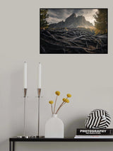 Roots Poster och Canvastavla