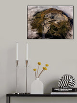 Beautiful Rape? Poster och Canvastavla