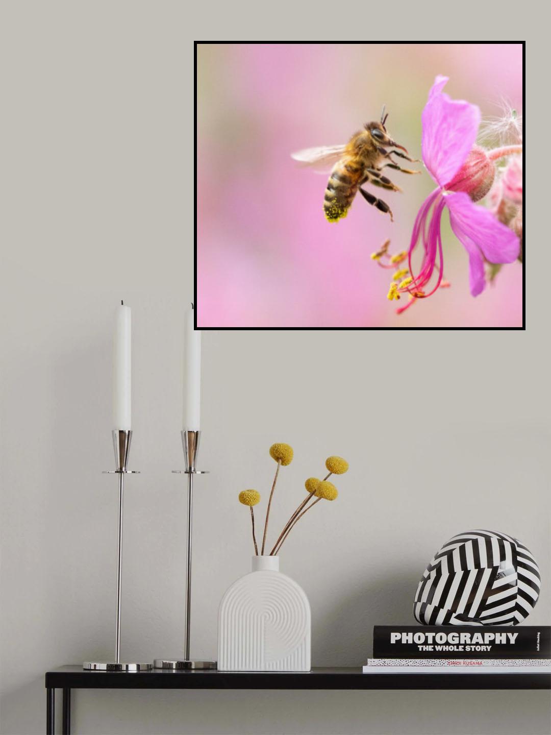 Honey Bee Poster och Canvastavla