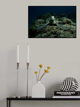 Into the deep Poster och Canvastavla