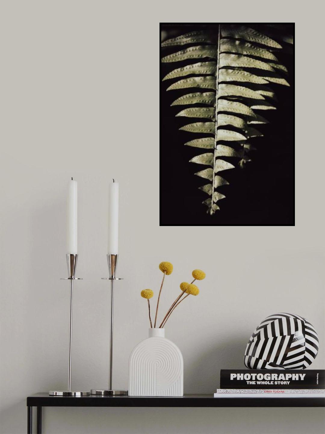 Fern Leaf Poster och Canvastavla