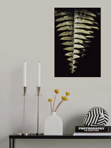 Fern Leaf Poster och Canvastavla
