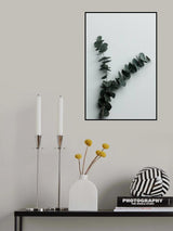 Eucalyptus Wall 02 Poster och Canvastavla