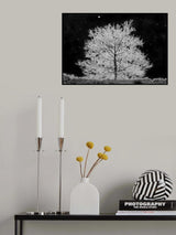 A cold night.....! Poster och Canvastavla