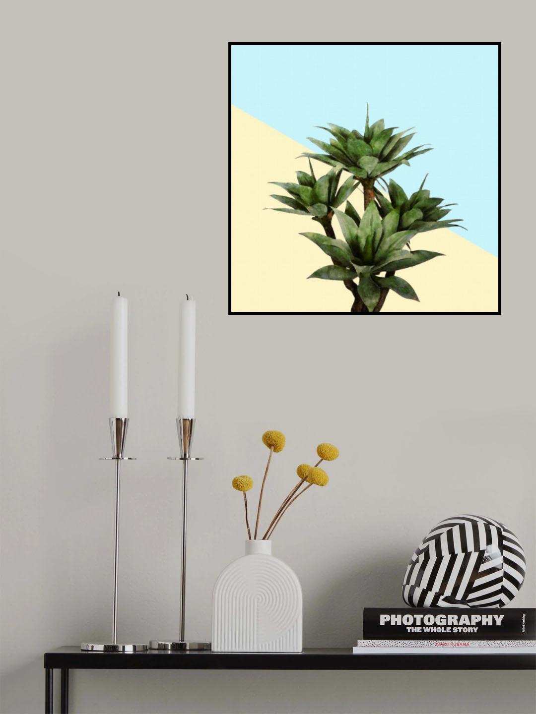 Agave 02 Poster och Canvastavla