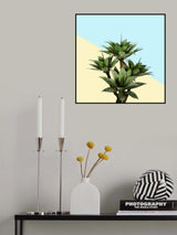 Agave 02 Poster och Canvastavla