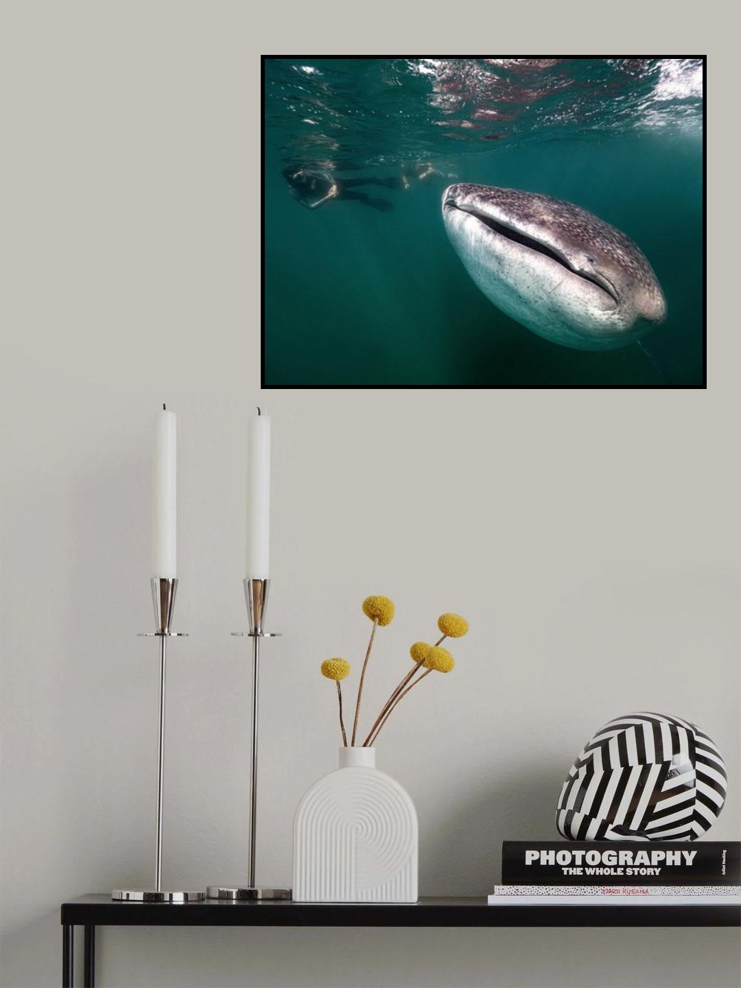 Close encounter Poster och Canvastavla