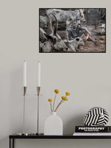 A scene of a Mundari cattle camp-II - South Sudan Poster och Canvastavla