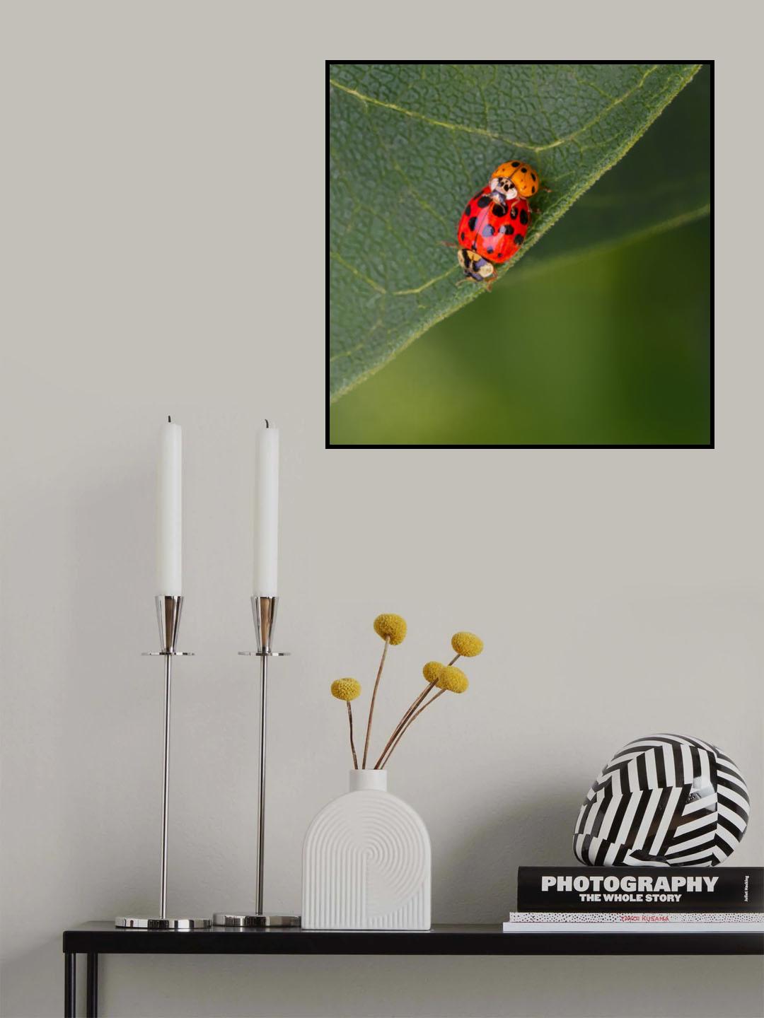 The Odd Couple Poster och Canvastavla