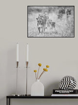 Lions Poster och Canvastavla