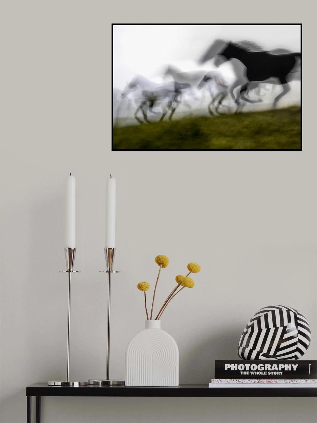 down the hill Poster och Canvastavla