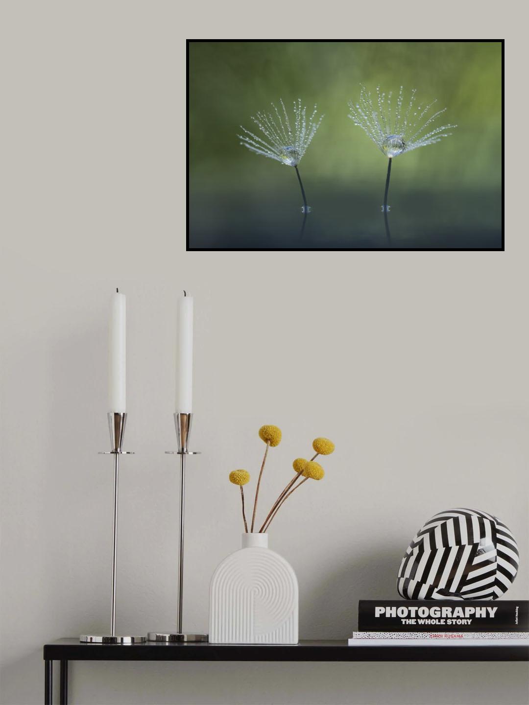 Dandelion Flowers Poster och Canvastavla