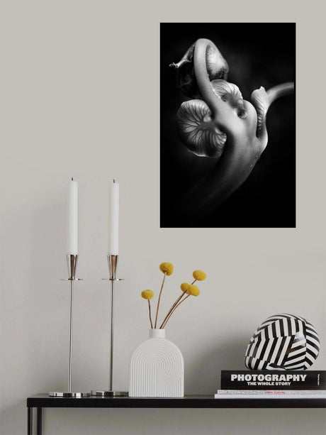 ..... ABw048 ..... Poster och Canvastavla