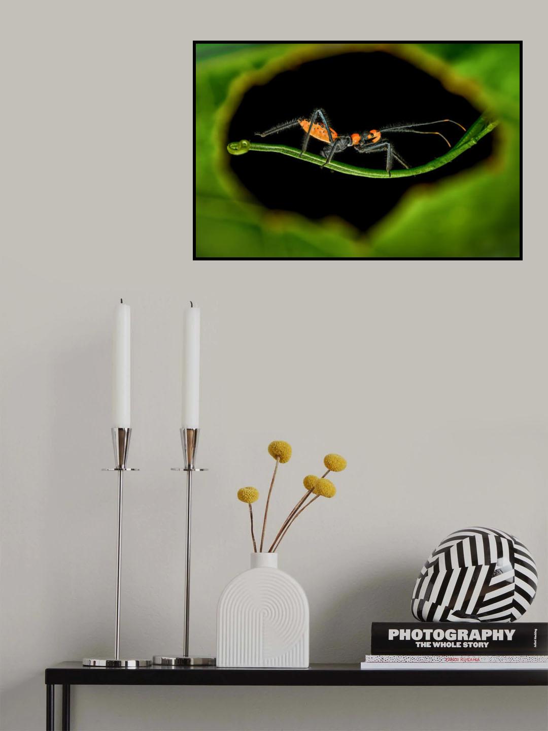 Small hole perspective Poster och Canvastavla