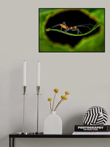 Small hole perspective Poster och Canvastavla