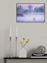 Swans of the world Poster och Canvastavla