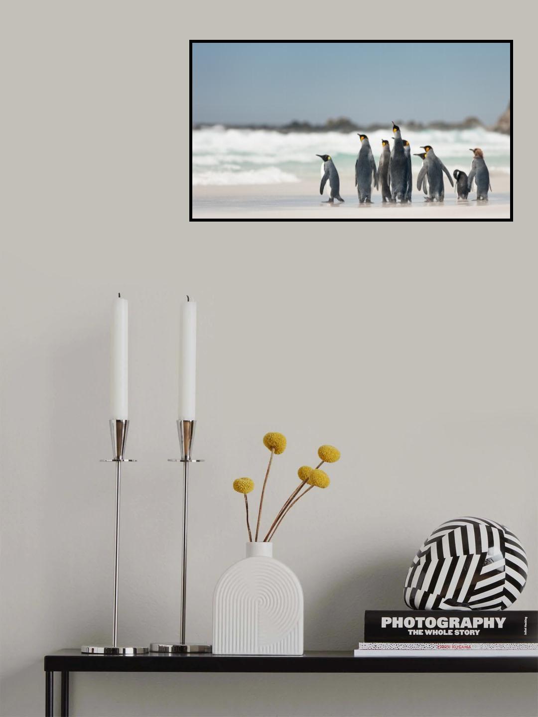 Expedition Poster och Canvastavla