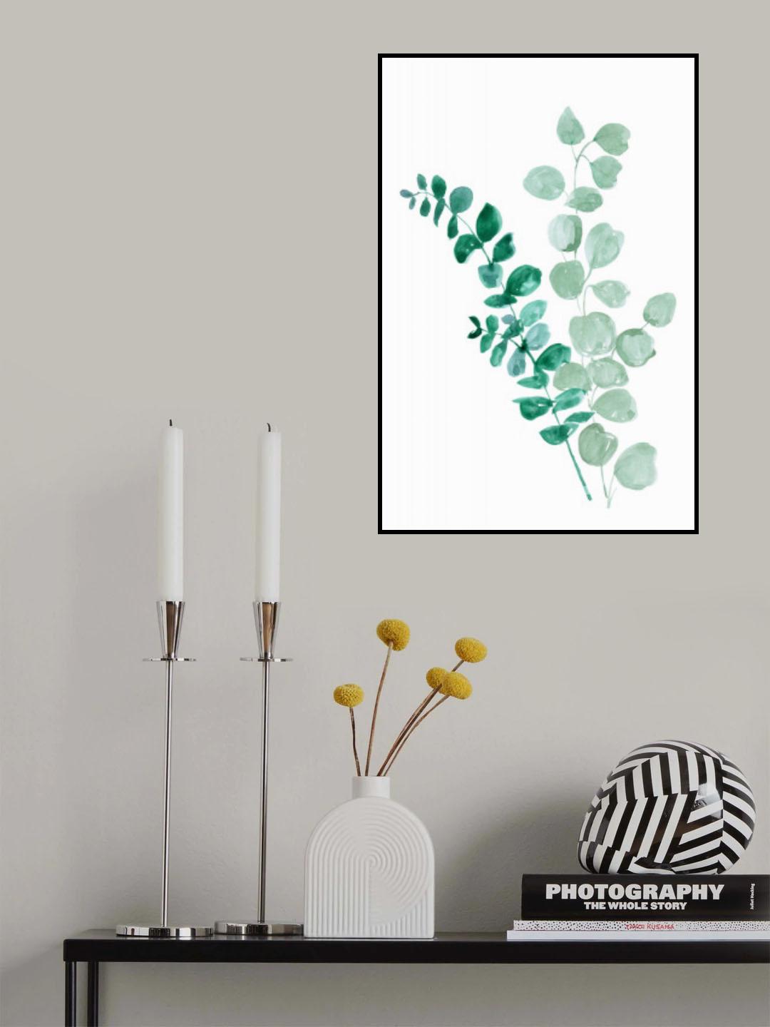 Two eucalyptus branches Poster och Canvastavla