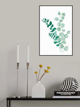 Two eucalyptus branches Poster och Canvastavla