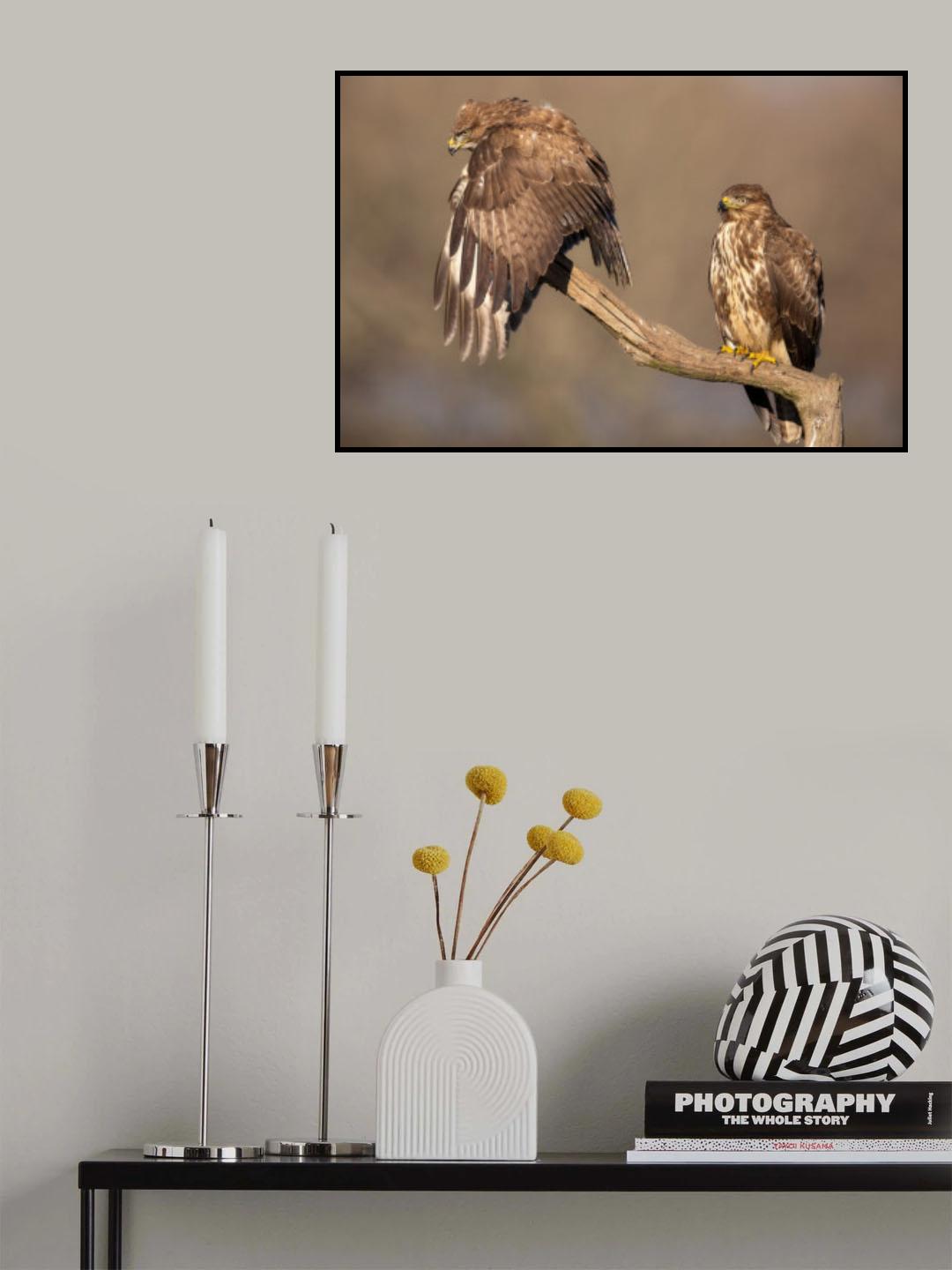 La strana coppia Poster och Canvastavla
