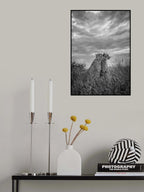 CHEETAH DREAMS Poster och Canvastavla