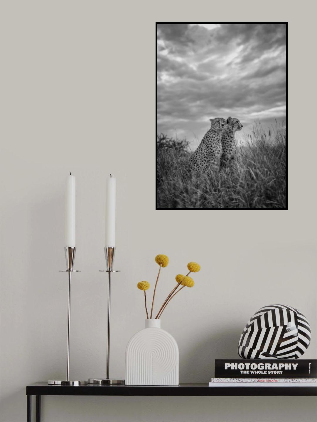 CHEETAH DREAMS Poster och Canvastavla