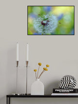 Observer of spring... Poster och Canvastavla