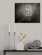 pondering... Poster och Canvastavla