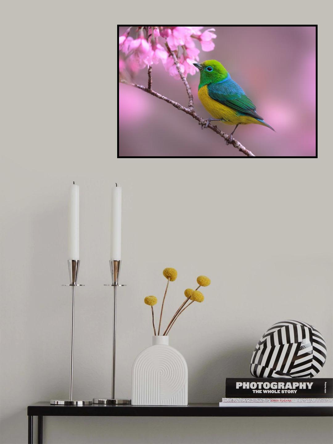 Bandeirinha Poster och Canvastavla
