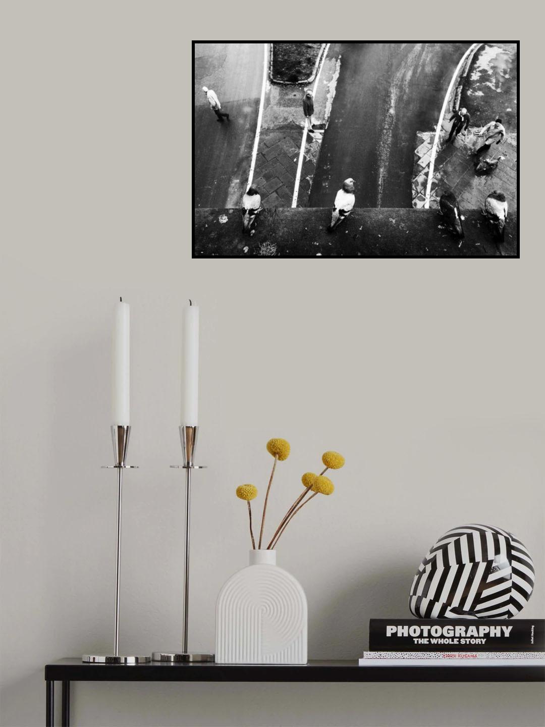 four pigeons, four men and a dog Poster och Canvastavla