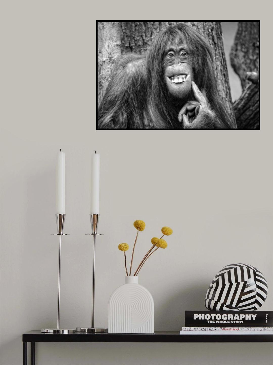 She's got the look! Poster och Canvastavla
